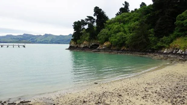 lyttelton bay